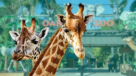 porno animax|Video porno animali. Contenuti video porno zoo di alta qualità!.